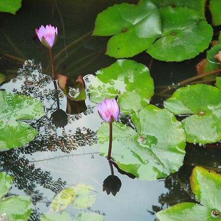 Khach San Linh Huong Hotel Son La Buitenkant foto