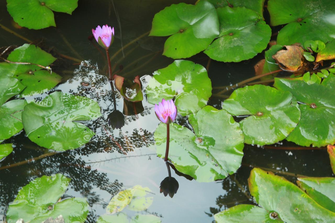 Khach San Linh Huong Hotel Son La Buitenkant foto